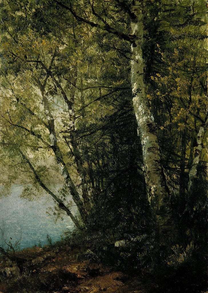 Detail of Study of Beeches, 1872 by John Frederick Kensett