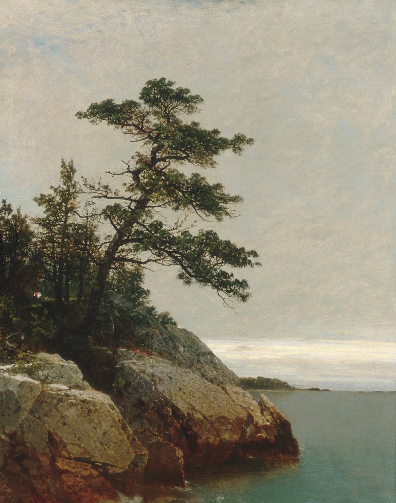 Detail of The Old Pine, Darien, Connecticut, 1872 by John Frederick Kensett