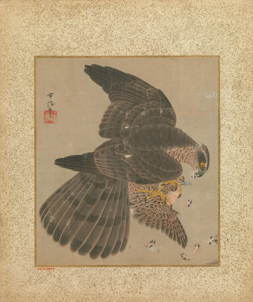 Detail of Album of Hawks and Calligraphy, 17th-18th century by Kanô Yôboku Tsunenobu
