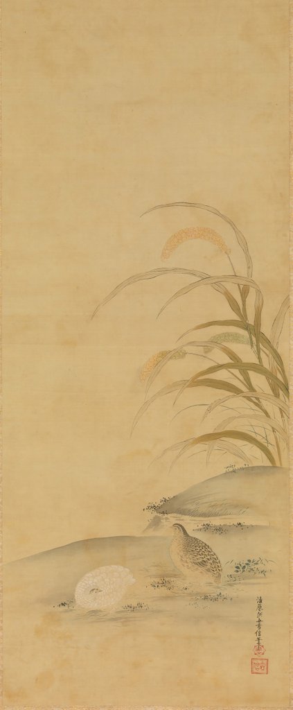 Detail of Quail and Millet, late 17th century by Kiyohara Yukinobu