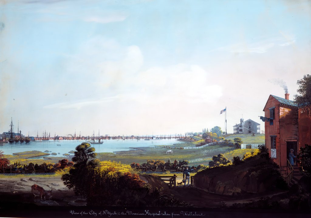 Detail of View of the City of New York and the Marine Hospital Taken from Wallabout by Nicolino Calyo