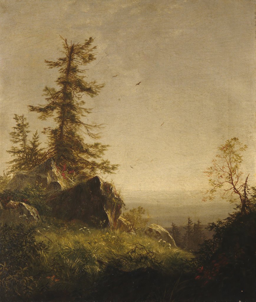 Detail of Morning on the Mountain, 1856 by Richard William Hubbard