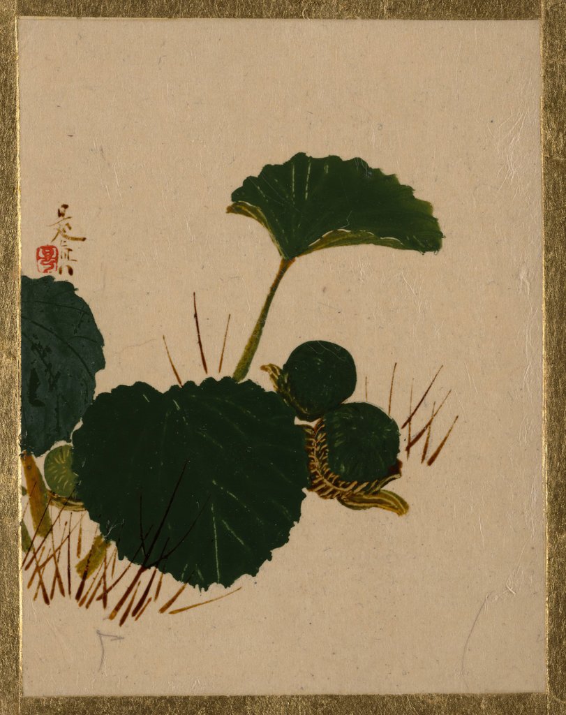 Detail of Worm on Green Leaved Plant by Shibata Zeshin