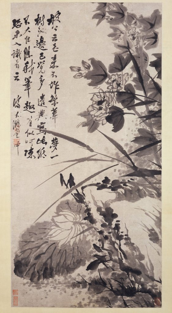 Detail of Hibiscus, Lotus, and Rock, ca. 1705-7 by Shitao