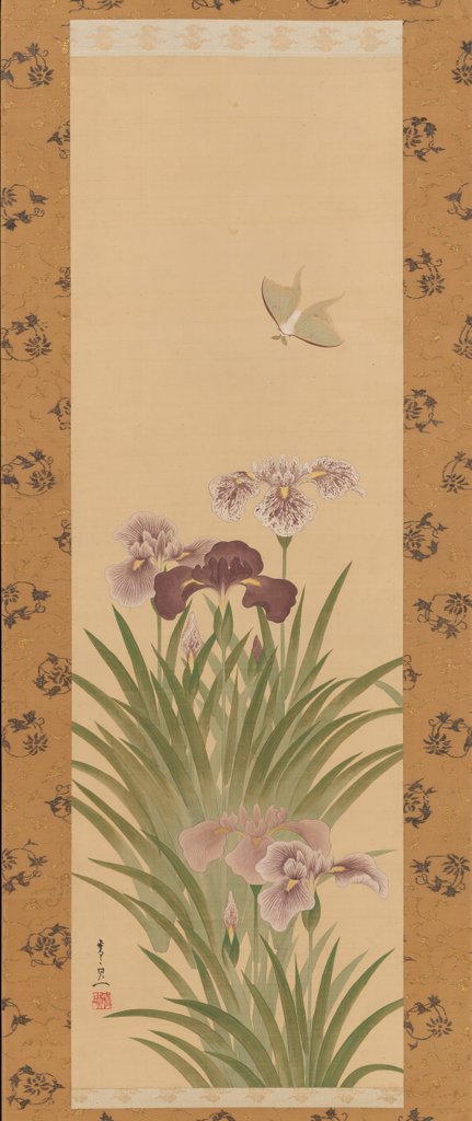 Detail of Irises and Moth, ca. 1850 by Suzuki Kiitsu