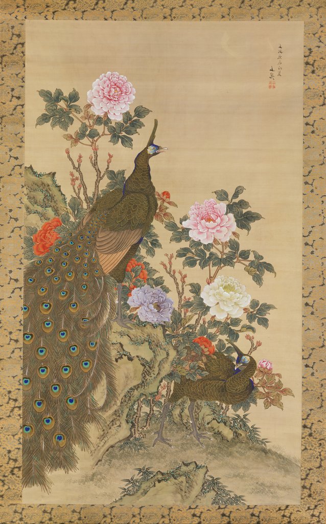 Detail of Peacocks and Peonies, 1820 by Tani Buncho