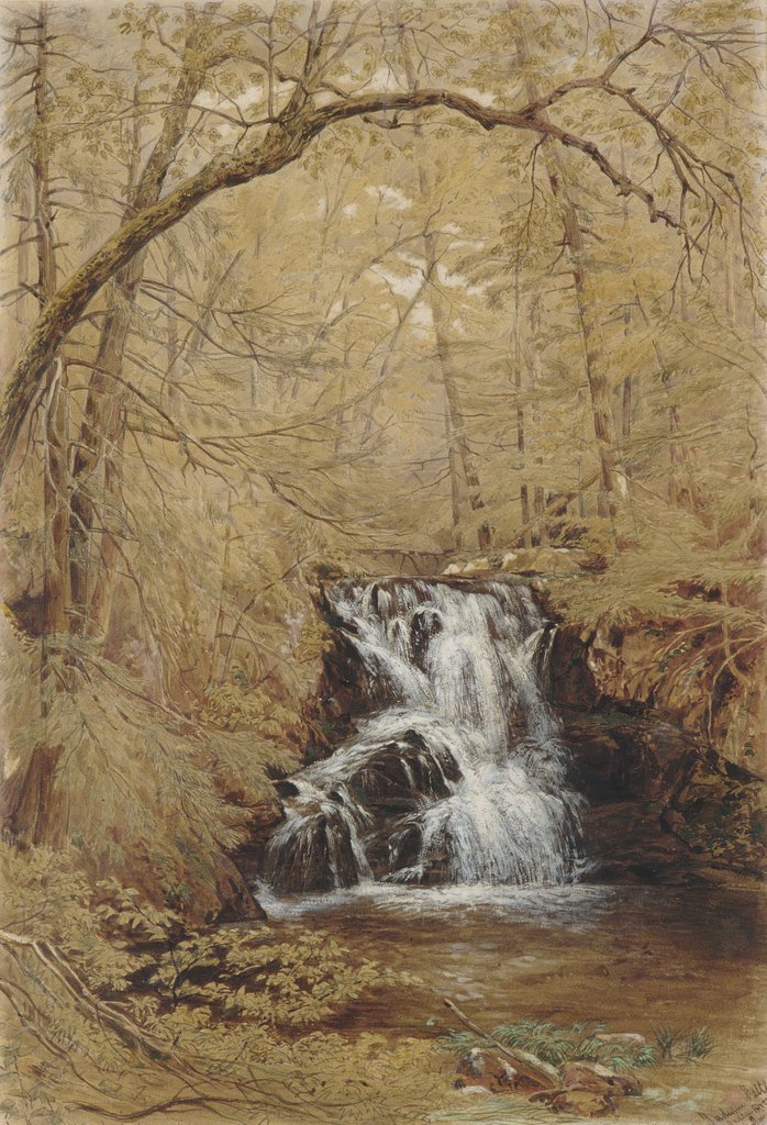 Detail of Indian Falls, Indian Brook, Cold Springs, New York, 1850 by William Rickarby Miller