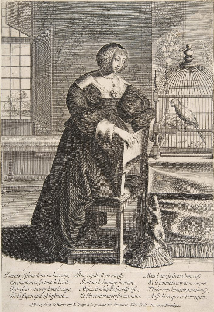 Detail of The Parrot, 1620-76 by Abraham Bosse