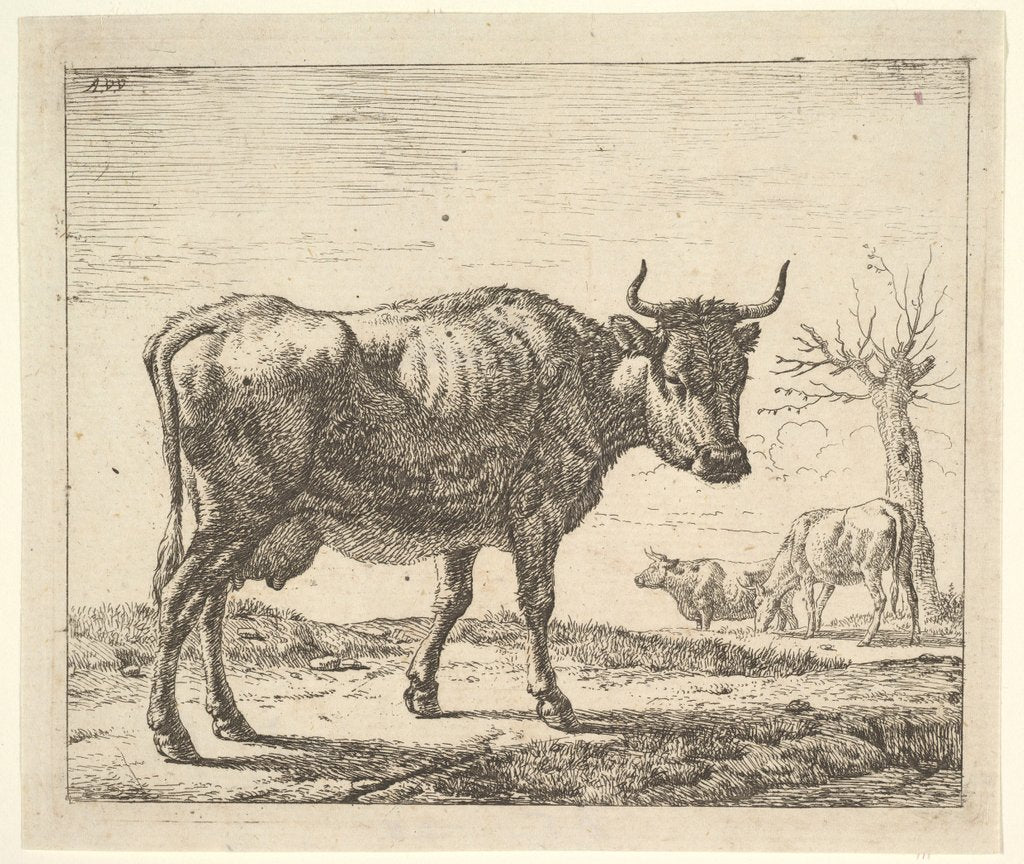 Detail of Three Cows, from Different Animals by Adriaen van de Velde