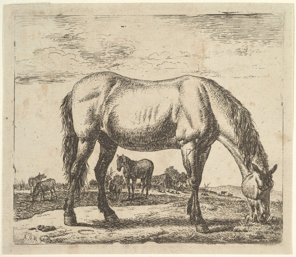 Detail of Grazing Horse, from Different Animals by Adriaen van de Velde