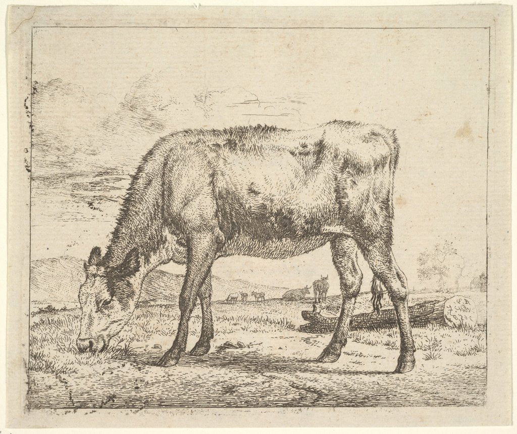 Detail of Grazing Calf, from Different Animals, 1658 by Adriaen van de Velde