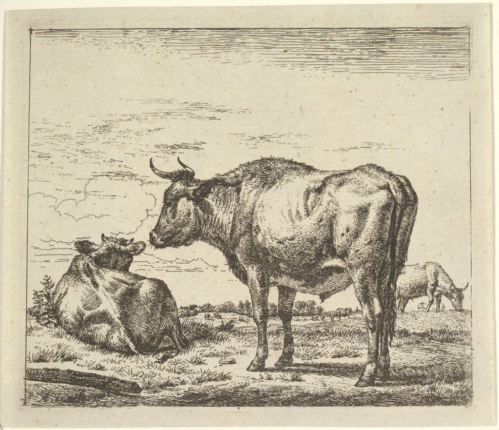 Detail of Standing Bull, from Different Animals by Adriaen van de Velde