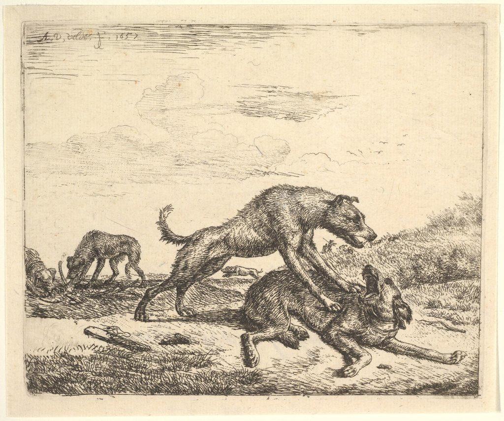 Detail of Fighting Dogs, from Different Animals, 1657 by Adriaen van de Velde