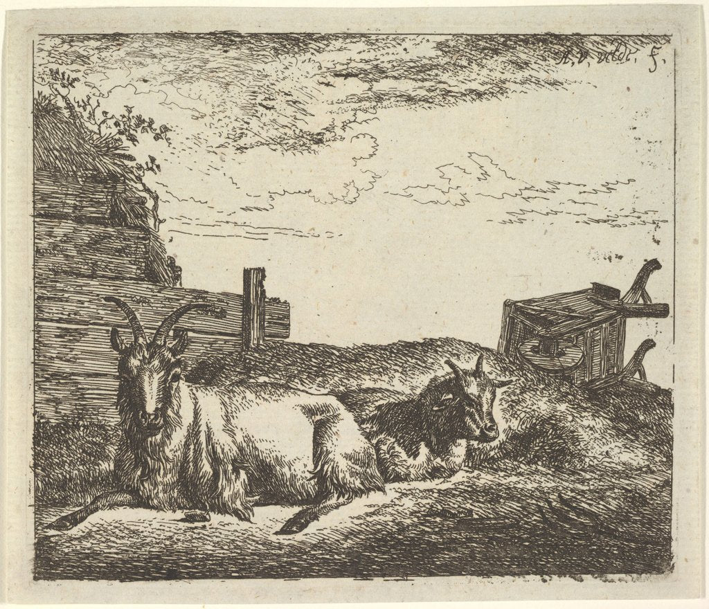 Detail of Recumbent Goats, from Different Animals by Adriaen van de Velde