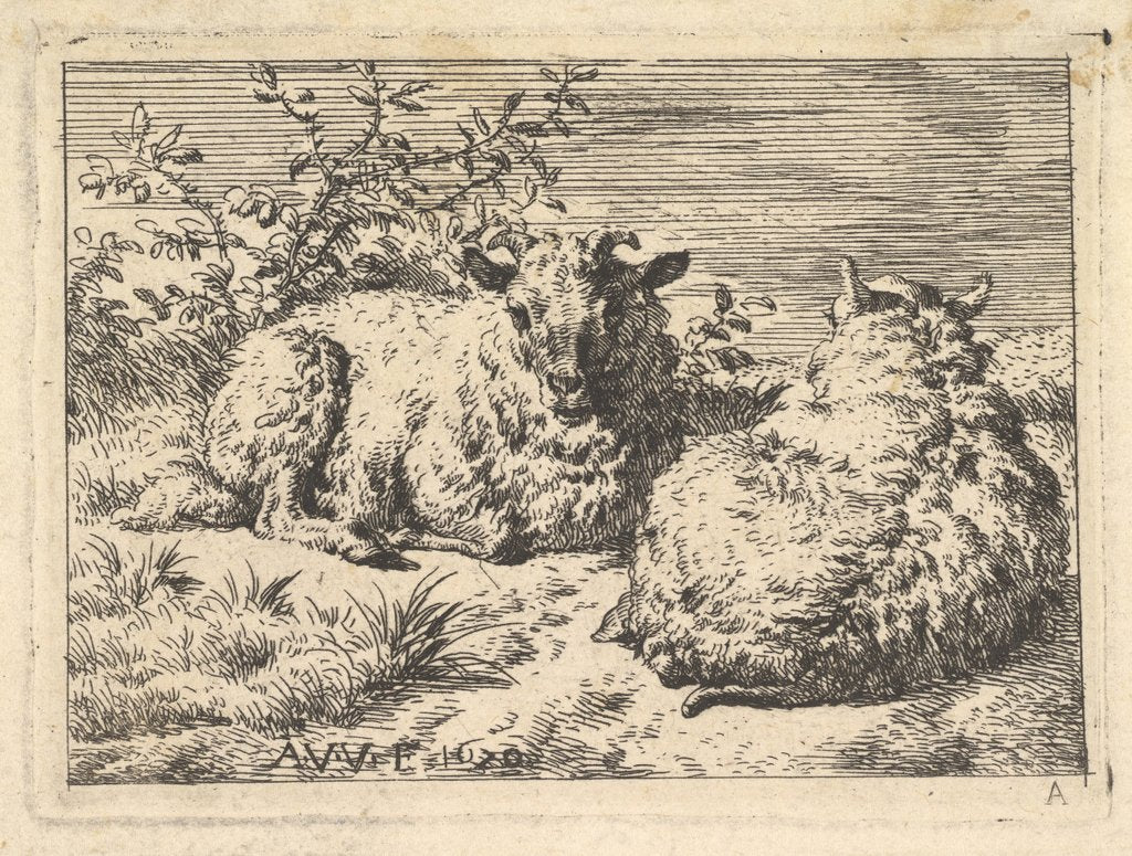 Detail of Two Recumbent Sheep, 1670 by Adriaen van de Velde