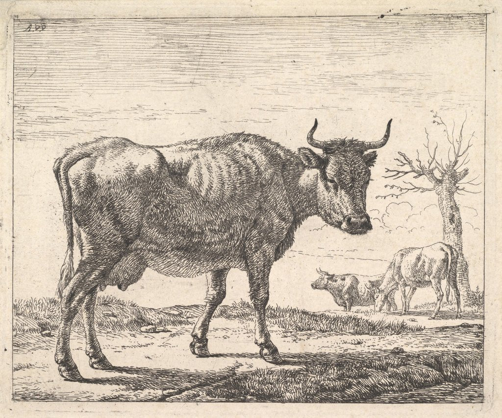 Detail of Three Cows by Adriaen van de Velde