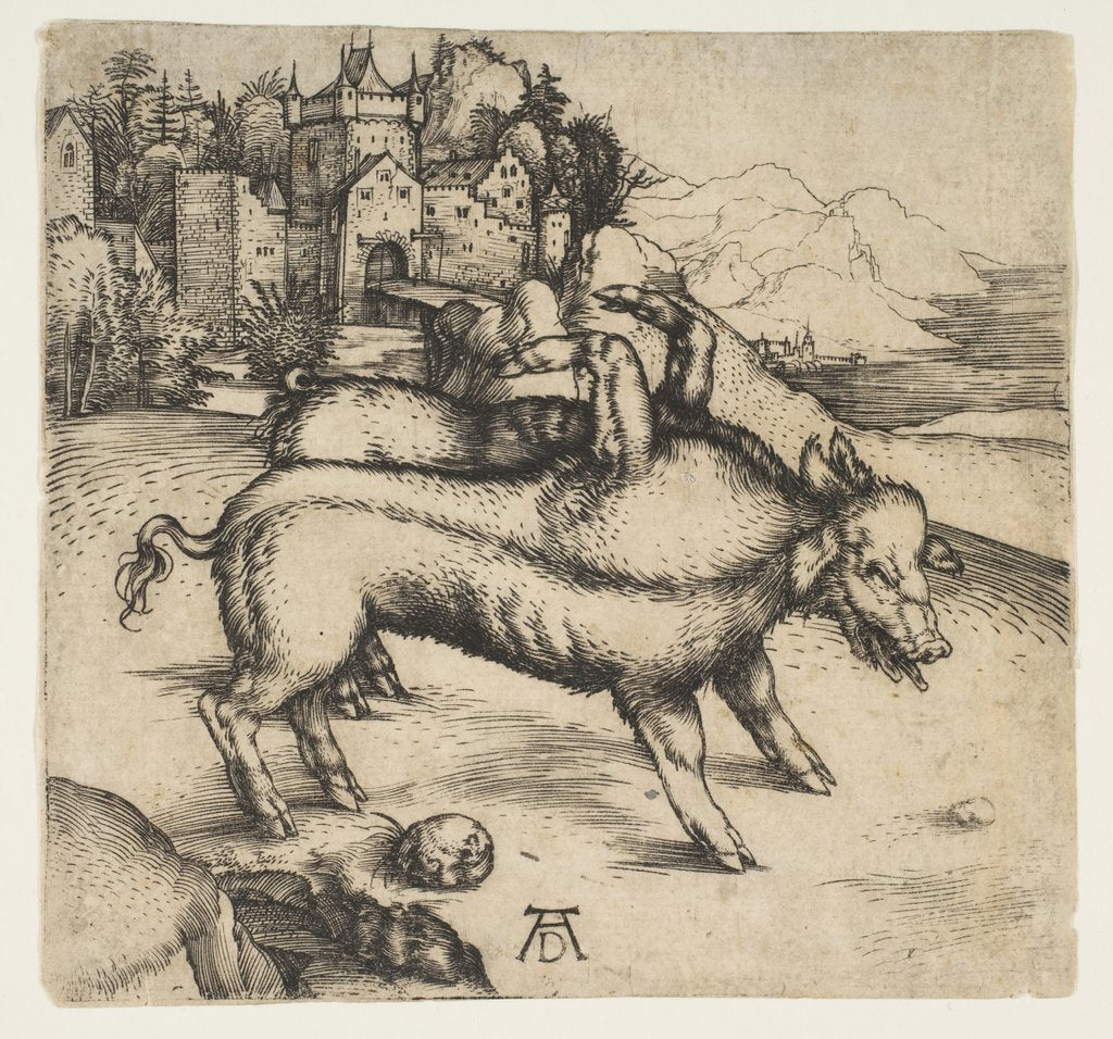 Detail of The Monstrous Pig of Landser, ca. 1496 by Albrecht Dürer