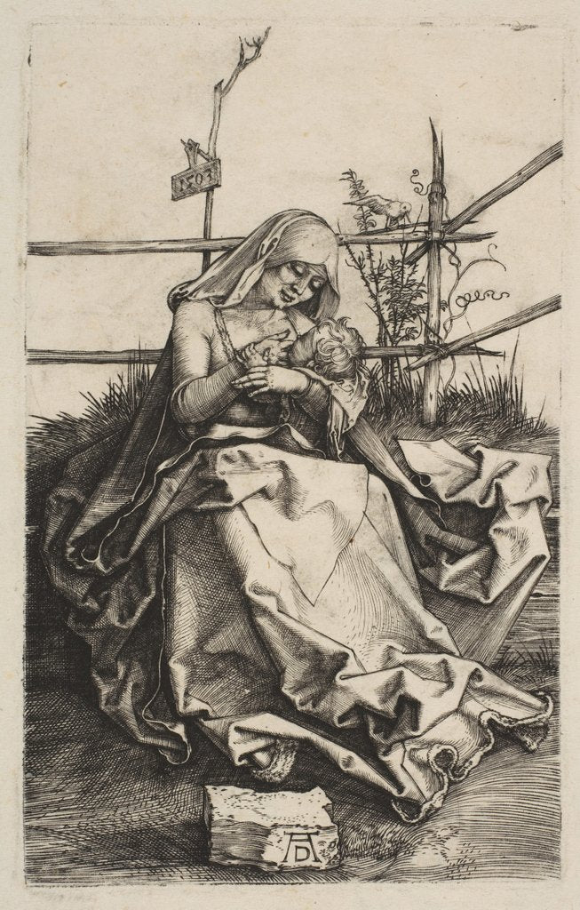 Detail of Virgin and Child on a Grassy Bench, 1503 by Albrecht Dürer