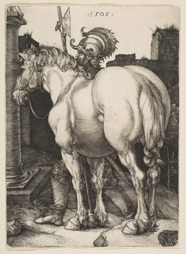 Detail of The Large Horse, 1505 by Albrecht Dürer