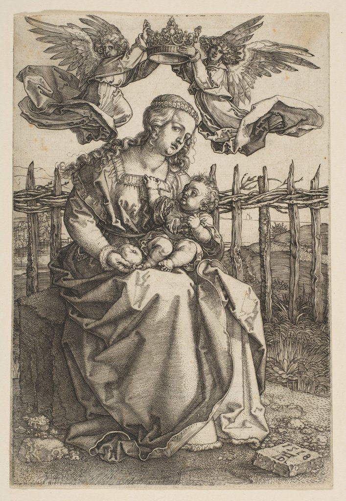 Detail of Virgin and Child Crowned by Two Angels, 1518 by Albrecht Dürer