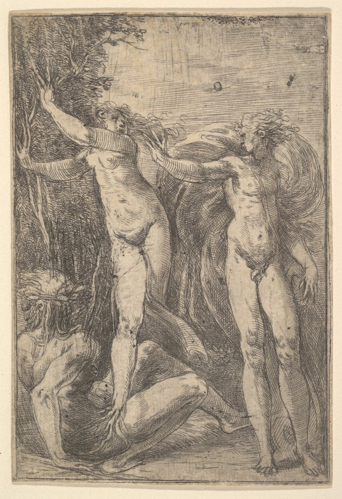 Detail of Apollo and Daphne, ca. 1538-40 by Andrea Schiavone
