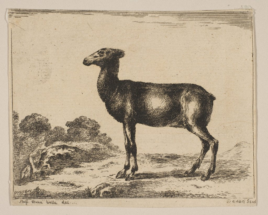 Detail of Plate 15: doe, from 'Various animals', after 1641 by Unknown