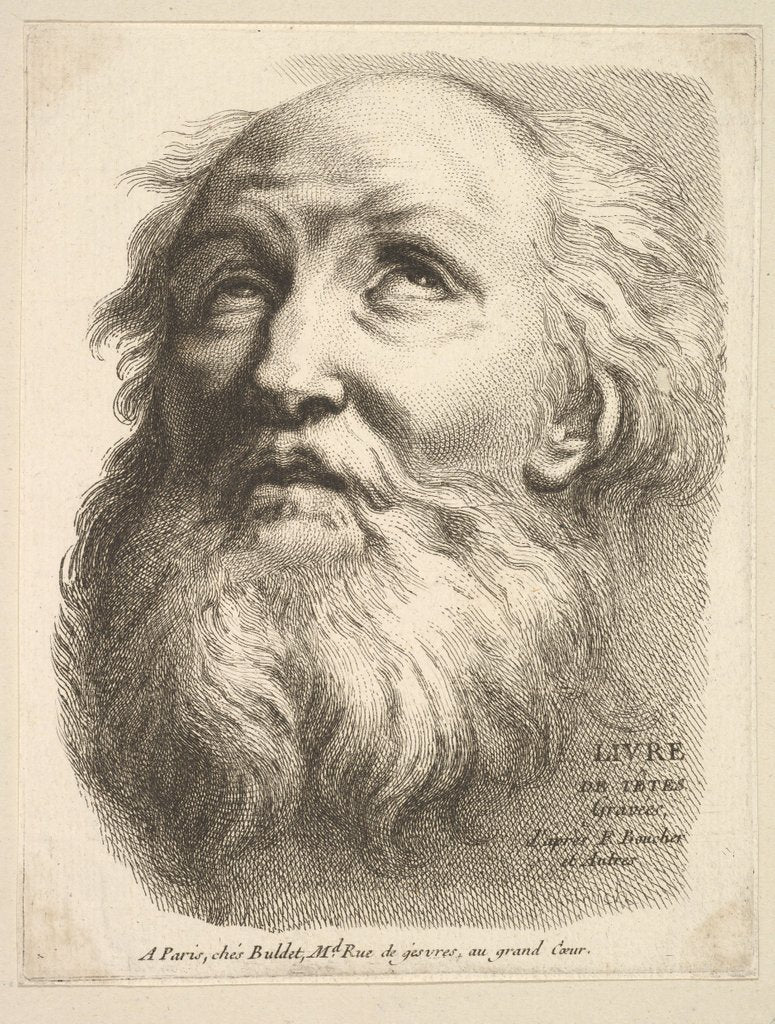 Detail of Frontispiece: Head of a Bearded Man, from 'Livre de Têtes Gravées d'apres F. Bouch…, 18th century by Unknown