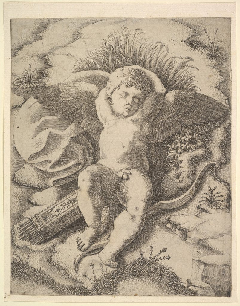 Detail of Cupid Sleeping, 16th century by Unknown