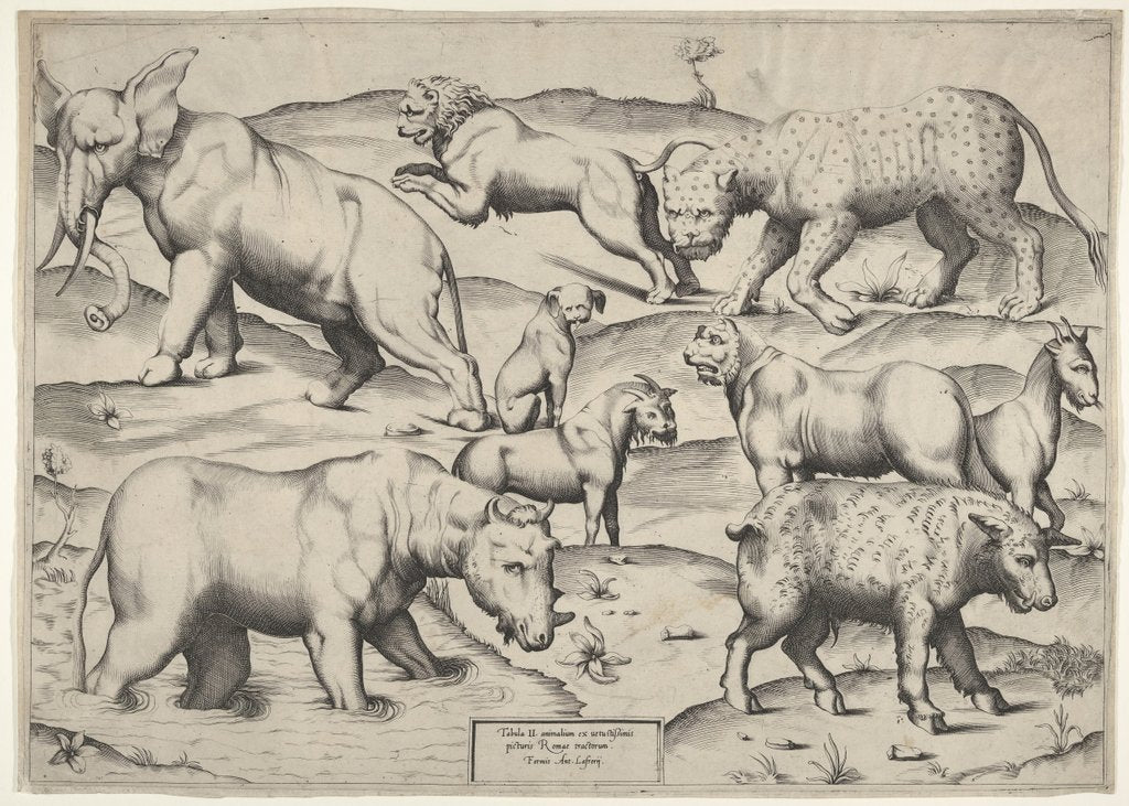 Detail of Various Animals by Unknown