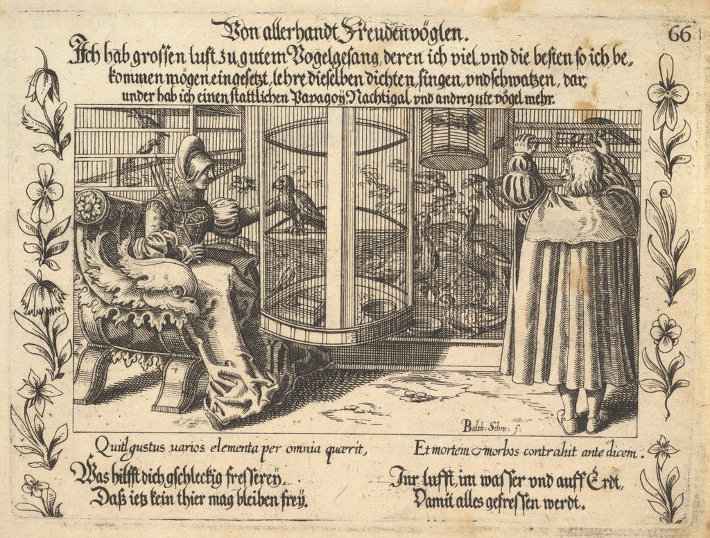 Detail of Von allerhandt Freudenvöglen, illustration from Petrarch, Glück und Unglück Spiegel, figur…, 1652 by Balthasar Schwan