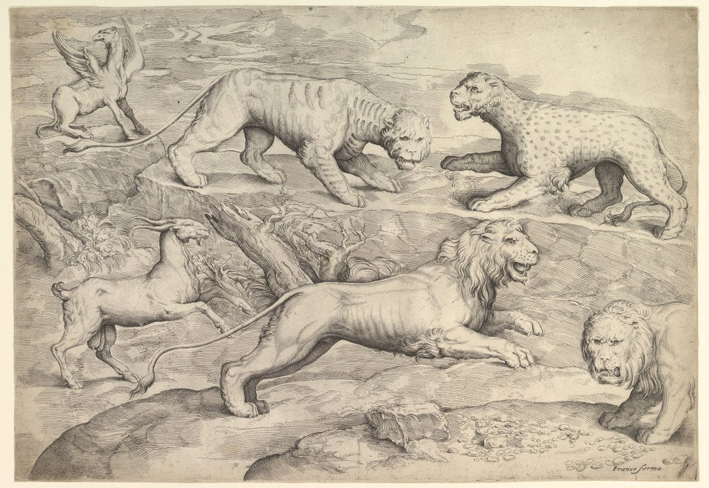 Detail of Six Animals, including lions, a tiger, a leopard, a griffin, and a goat, ca. 1530-61 by Battista Franco Veneziano