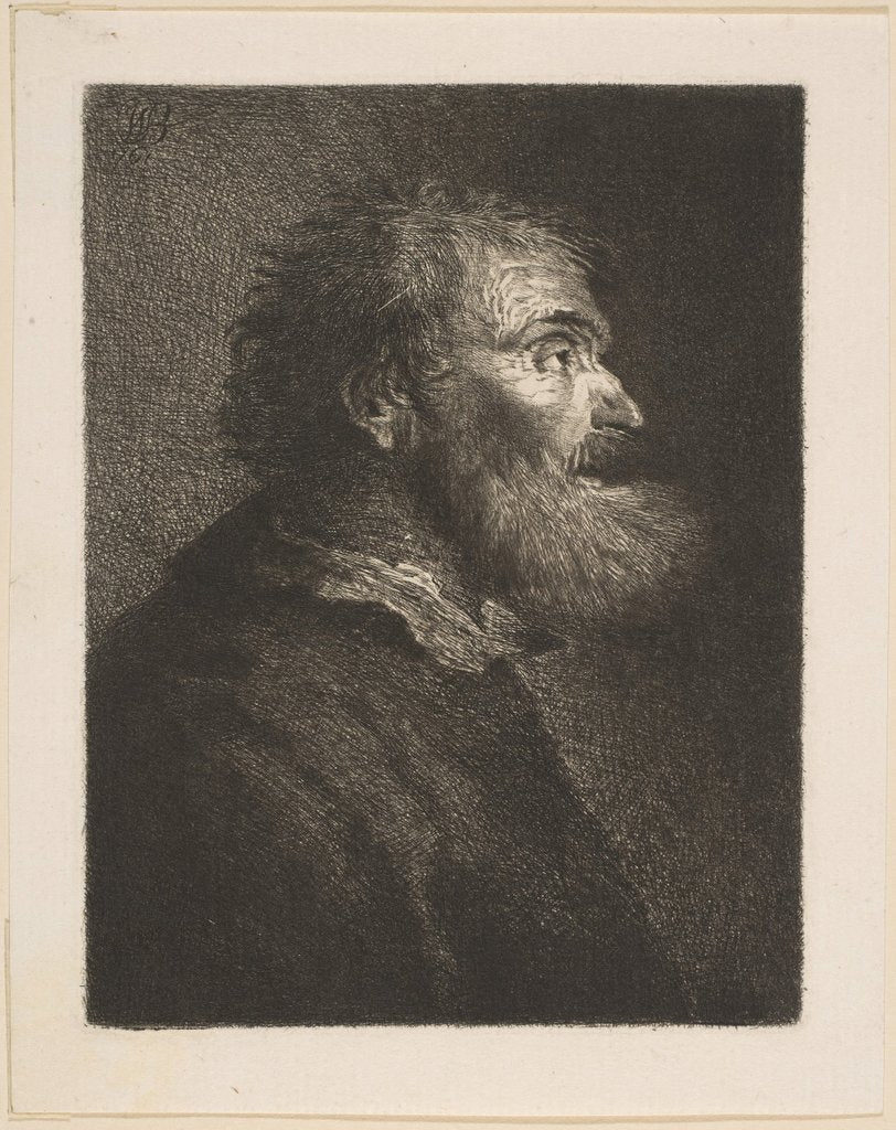 Detail of An Old Man in Profile, 1761 by William Baillie