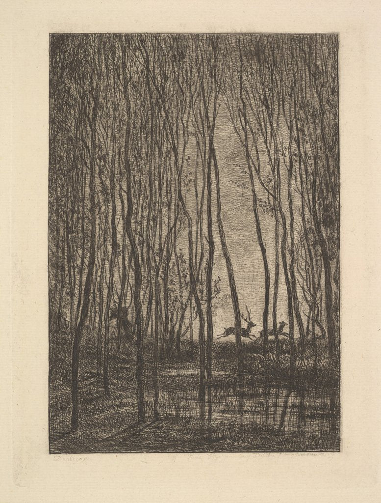 Detail of Deer in the Woods, 1850 by Charles Francois Daubigny