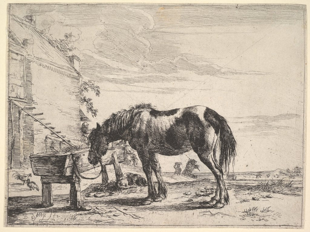 Detail of Horse Bound to a Feeding Trough by Dirck Stoop
