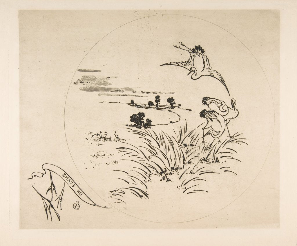 Detail of Decoration for a Plate: A Pond, 1870 by Felix Bracquemond