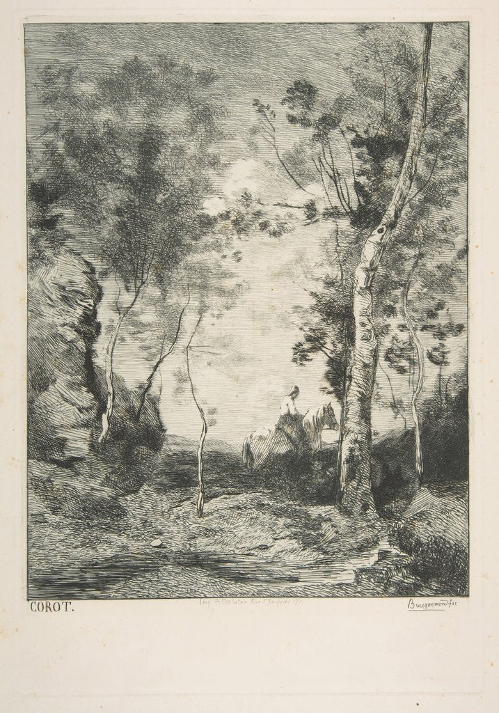 Detail of Le cheval blanc, 1858? by Felix Bracquemond