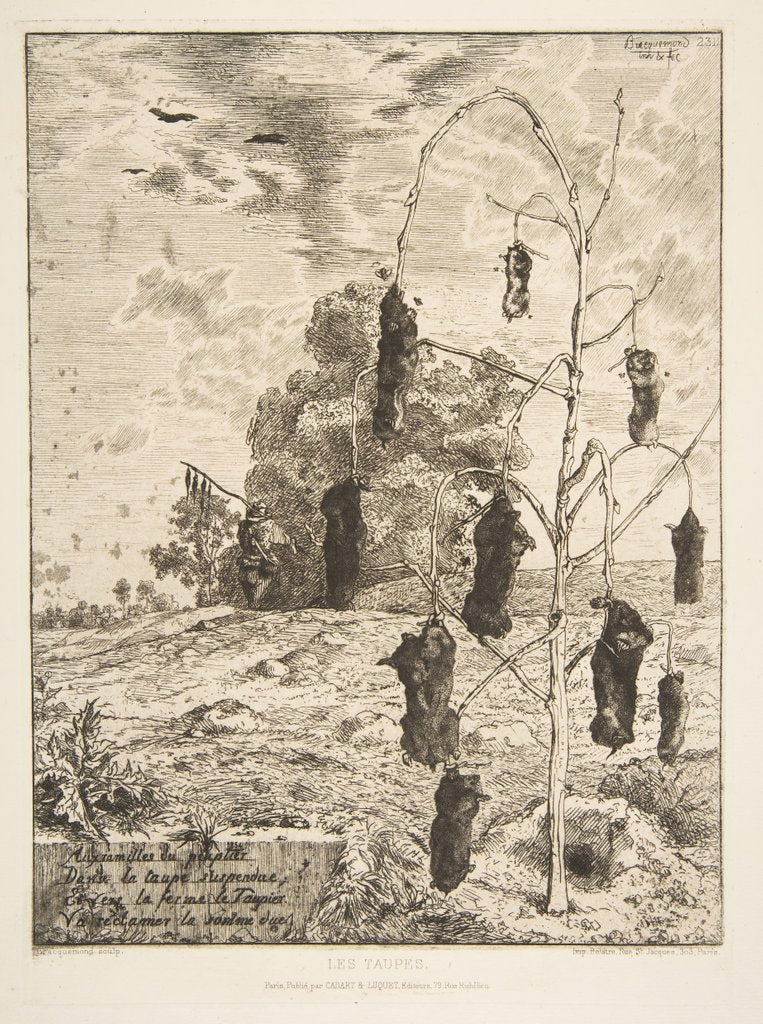 Detail of Les Taupes, 1854 by Felix Bracquemond