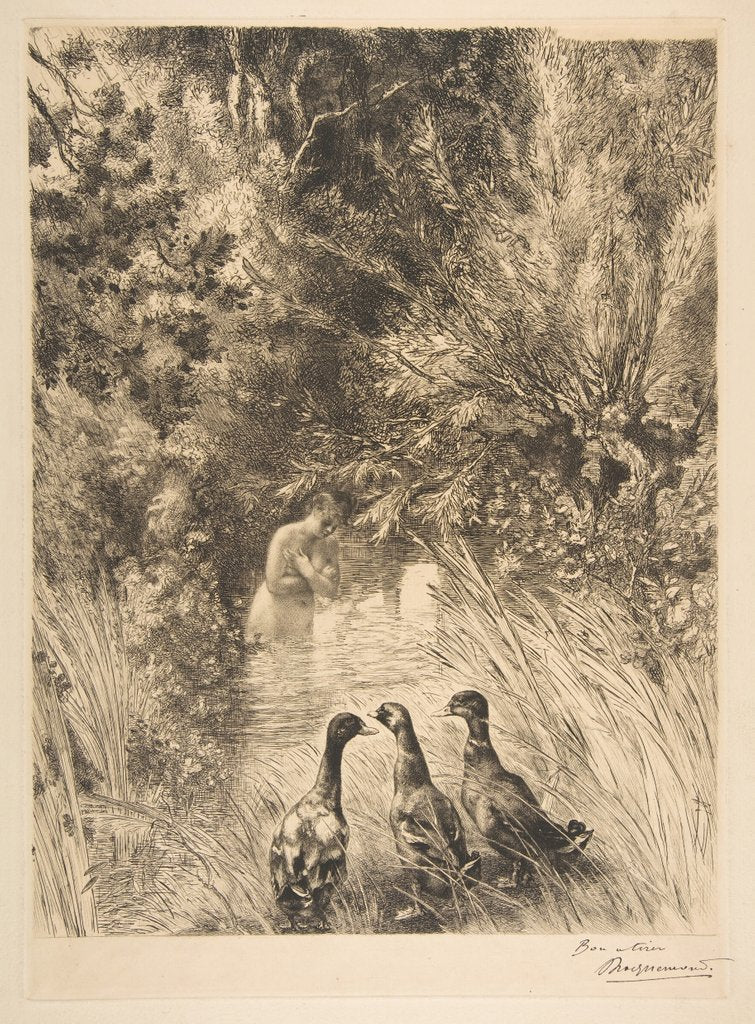 Detail of Canards surpris, 1882 by Felix Bracquemond