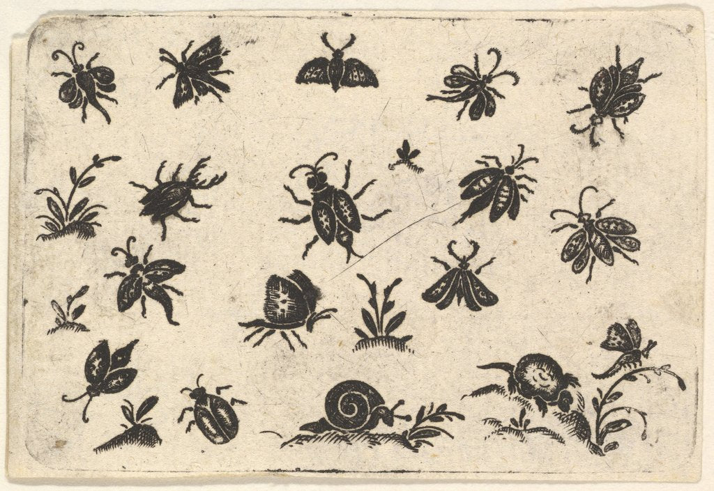 Detail of Small Motifs of Insects and Plants, 1596 by Georg Herman