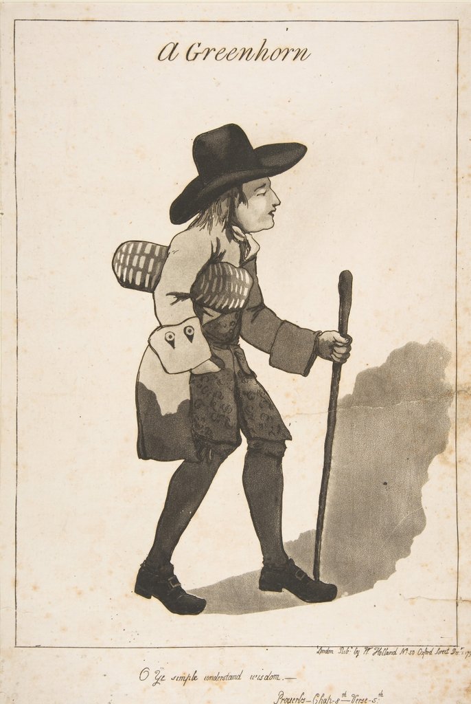 Detail of A Greenhorn, December 1, 1790 by George Moutard Woodward