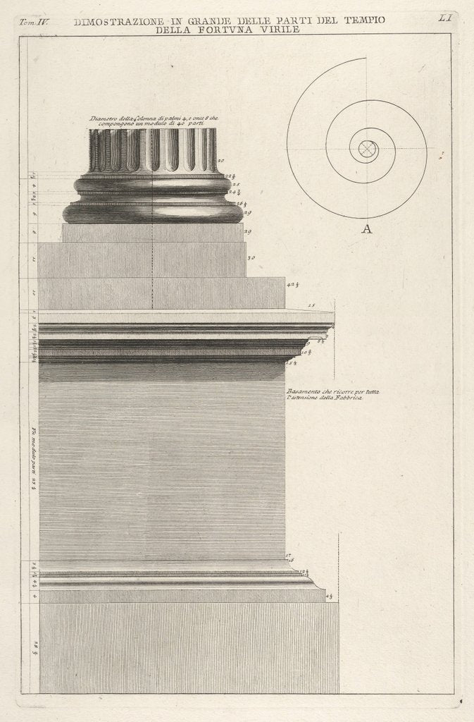 Detail of Section of column base from the Temple of Fortuna Virilis, f…, 1756 by Giovanni Battista Piranesi