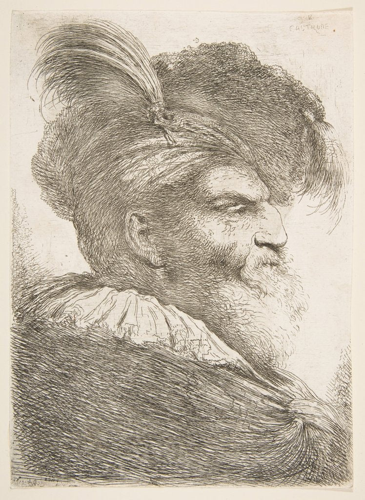 Detail of Head of an old man facing right, from the series of 'Large Oriental Heads', ca. 1645-1650 by Giovanni Benedetto Castiglione