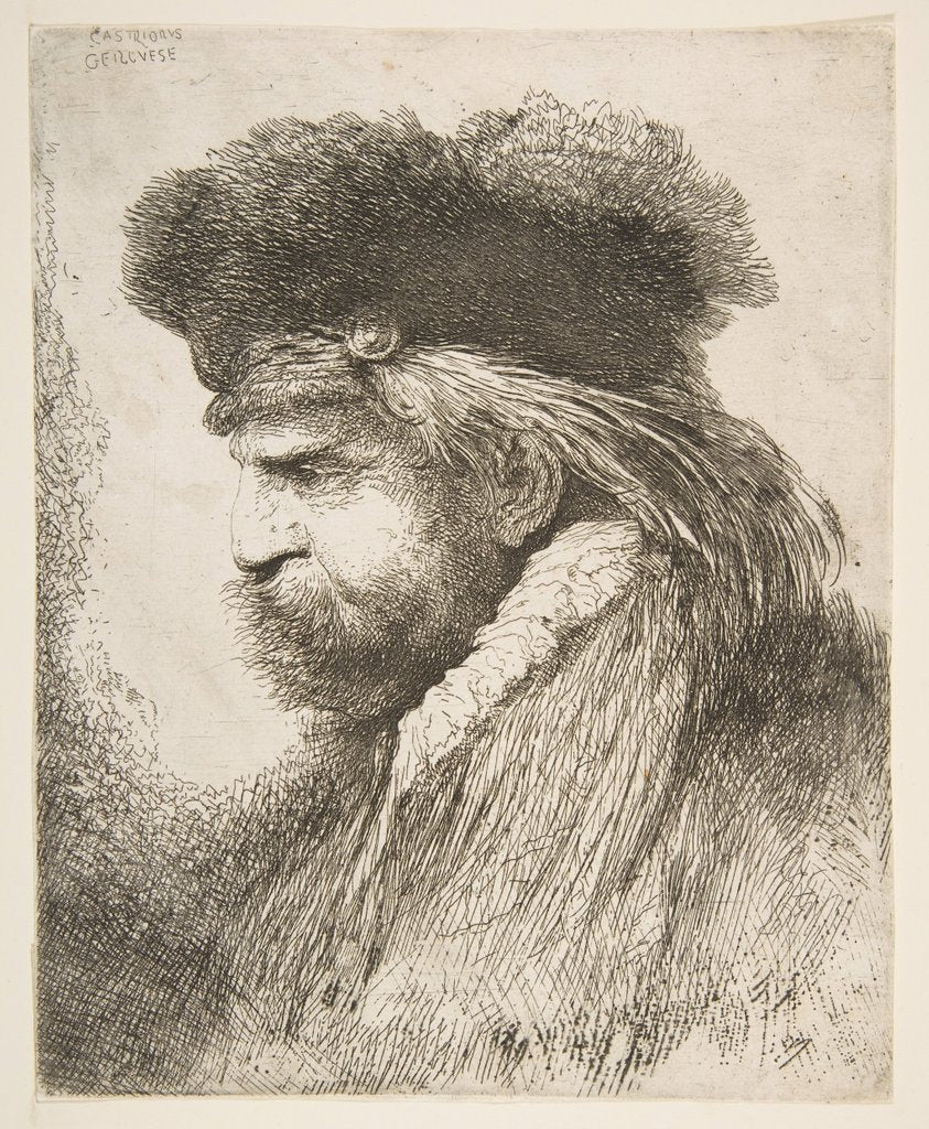 Detail of Head of an old man facing left, from the series of 'Large Oriental Heads', ca. 1645-50 by Giovanni Benedetto Castiglione