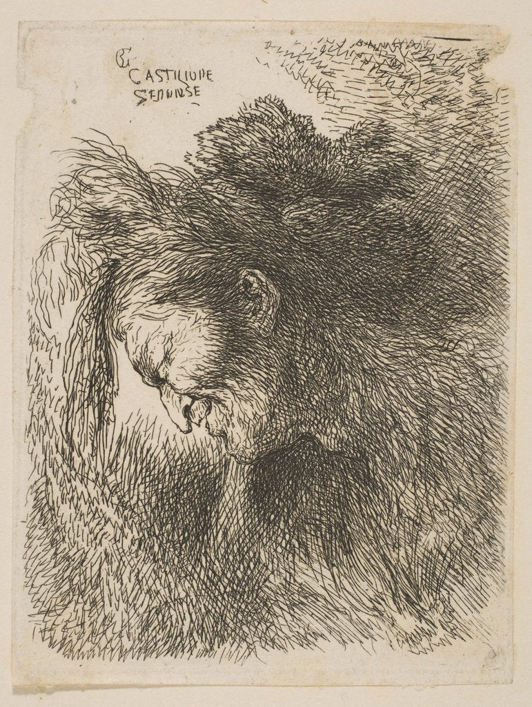 Detail of Head of an old man looking down, facing left, from the series 'Small Studies of He…, ca 1645-1650 by Giovanni Benedetto Castiglione