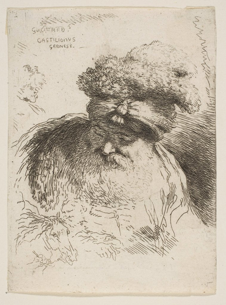 Detail of Head of an old bearded man with a turban, from the series of 'Small Heads in Orie…, ca. 1645-1650 by Giovanni Benedetto Castiglione