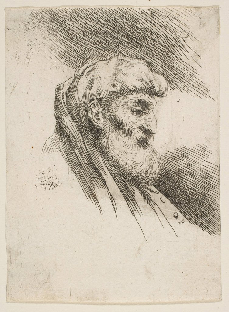Detail of Head of an old bearded man facing right, from the series of 'Small Heads in Orien…, ca. 1645-1650 by Giovanni Benedetto Castiglione