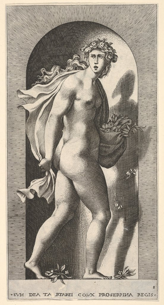 Detail of Plate 8: Prosperpina, standing in a niche, turning to the right while holding mantle in bo…, 1526 by Giovanni Jacopo Caraglio