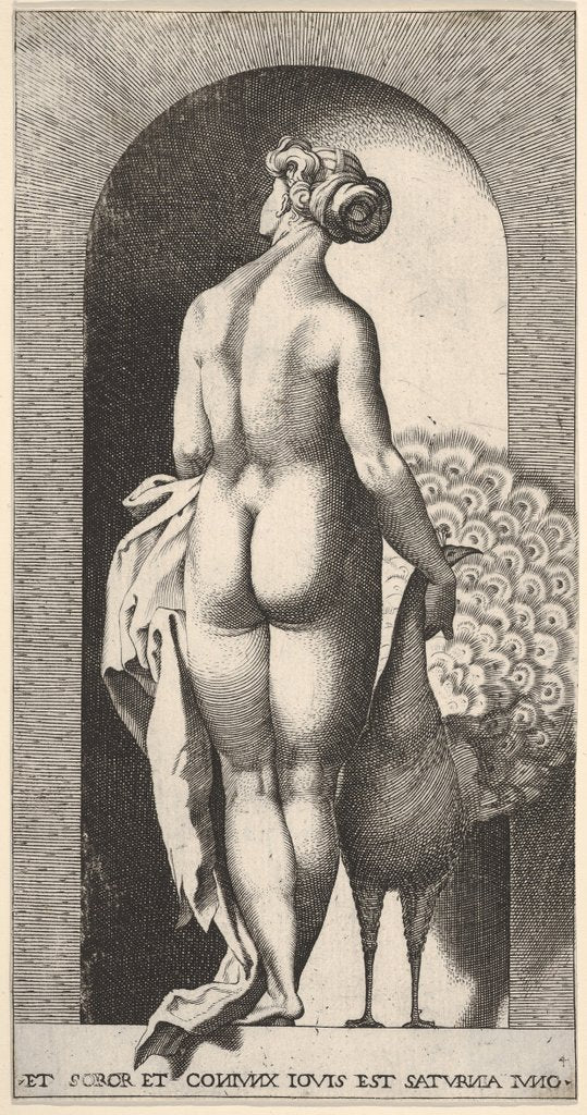Detail of Plate 4: Juno standing in a niche, viewed from behind, stroking a peacock to her right, fr…, 1526 by Giovanni Jacopo Caraglio