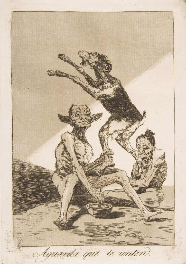 Detail of Plate 67 from 'Los Caprichos': Wait till you've been anointed, 1799 by Francisco Goya