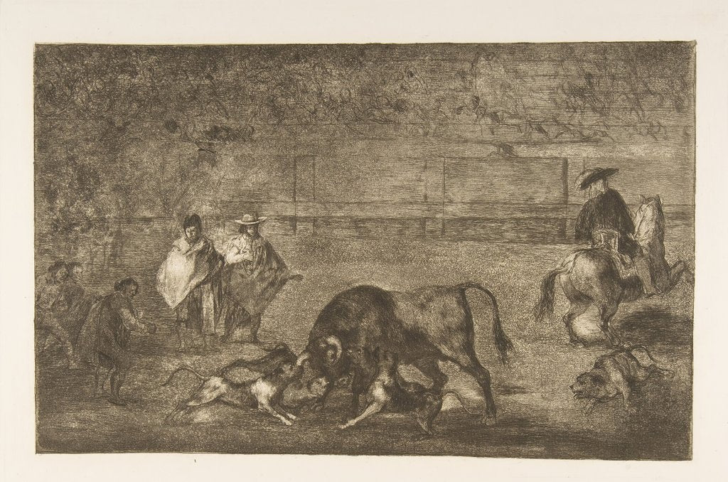 Plate C: The dogs let loose on the bull., ca. 1816 by Francisco Goya